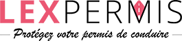 Permis Pénal Logo