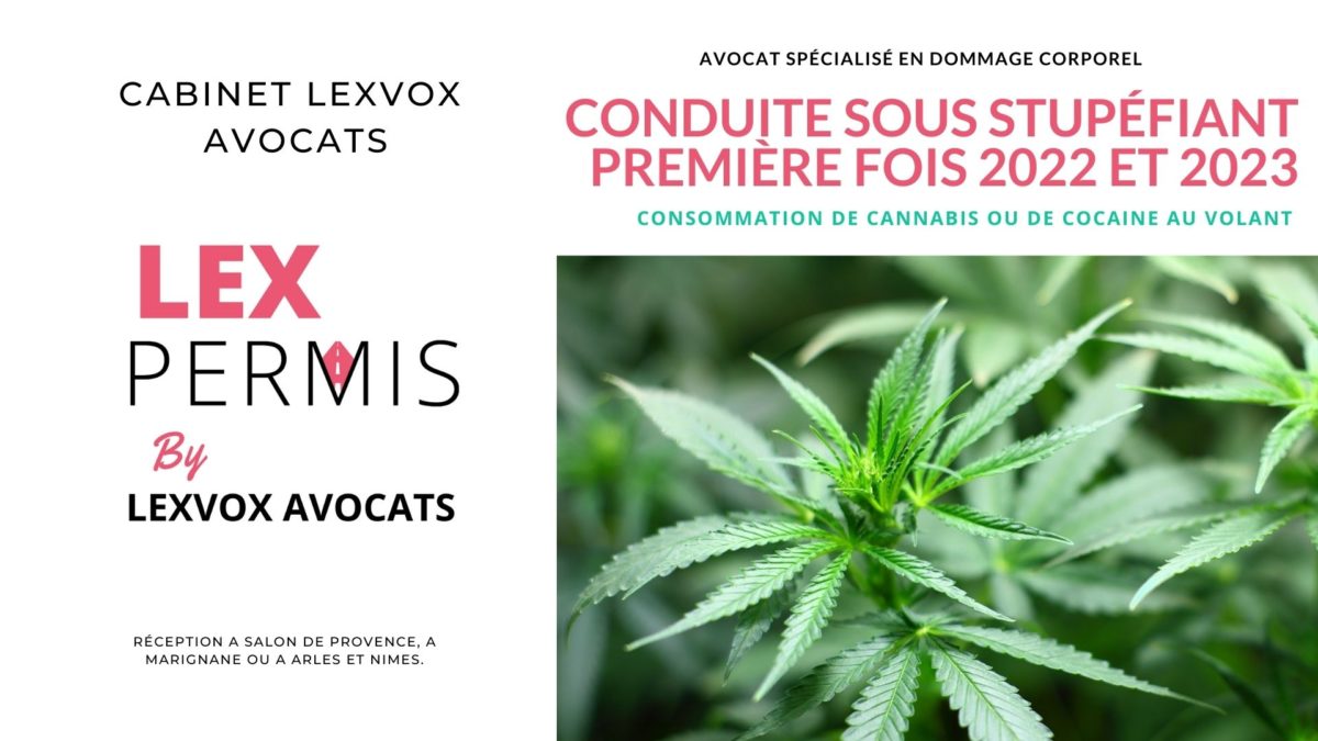 Conduite sous stupéfiant première fois 2022 et 2023 Permis Pénal