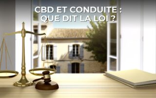 CBD et conduite : que dit la loi ?